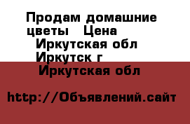 Продам домашние цветы › Цена ­ 500 - Иркутская обл., Иркутск г.  »    . Иркутская обл.